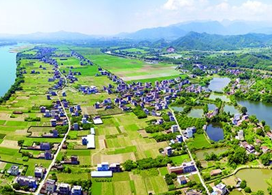 四會市農村人居環境綜合整治美麗鄉村一期建設項目